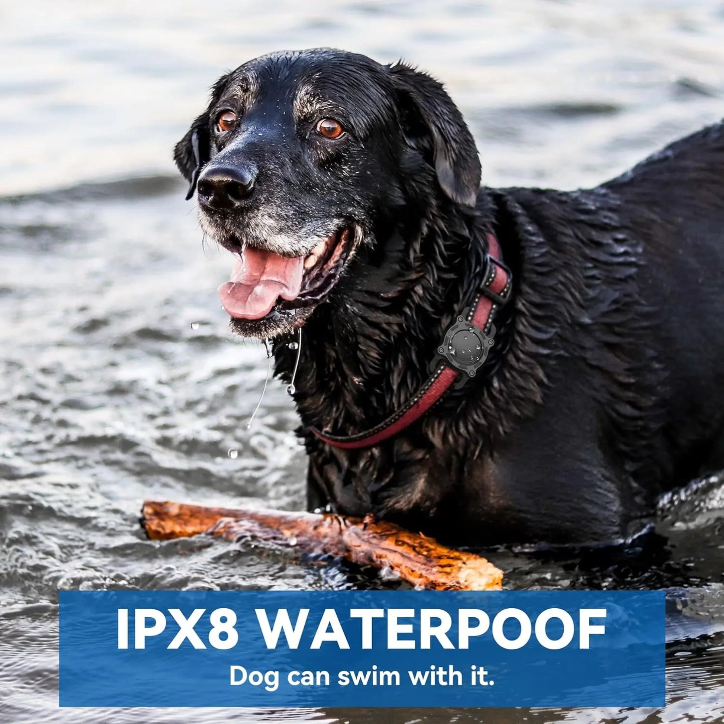 Waterproof Airtag Holder For Pet or Gear