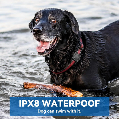Waterproof Airtag Holder For Pet or Gear